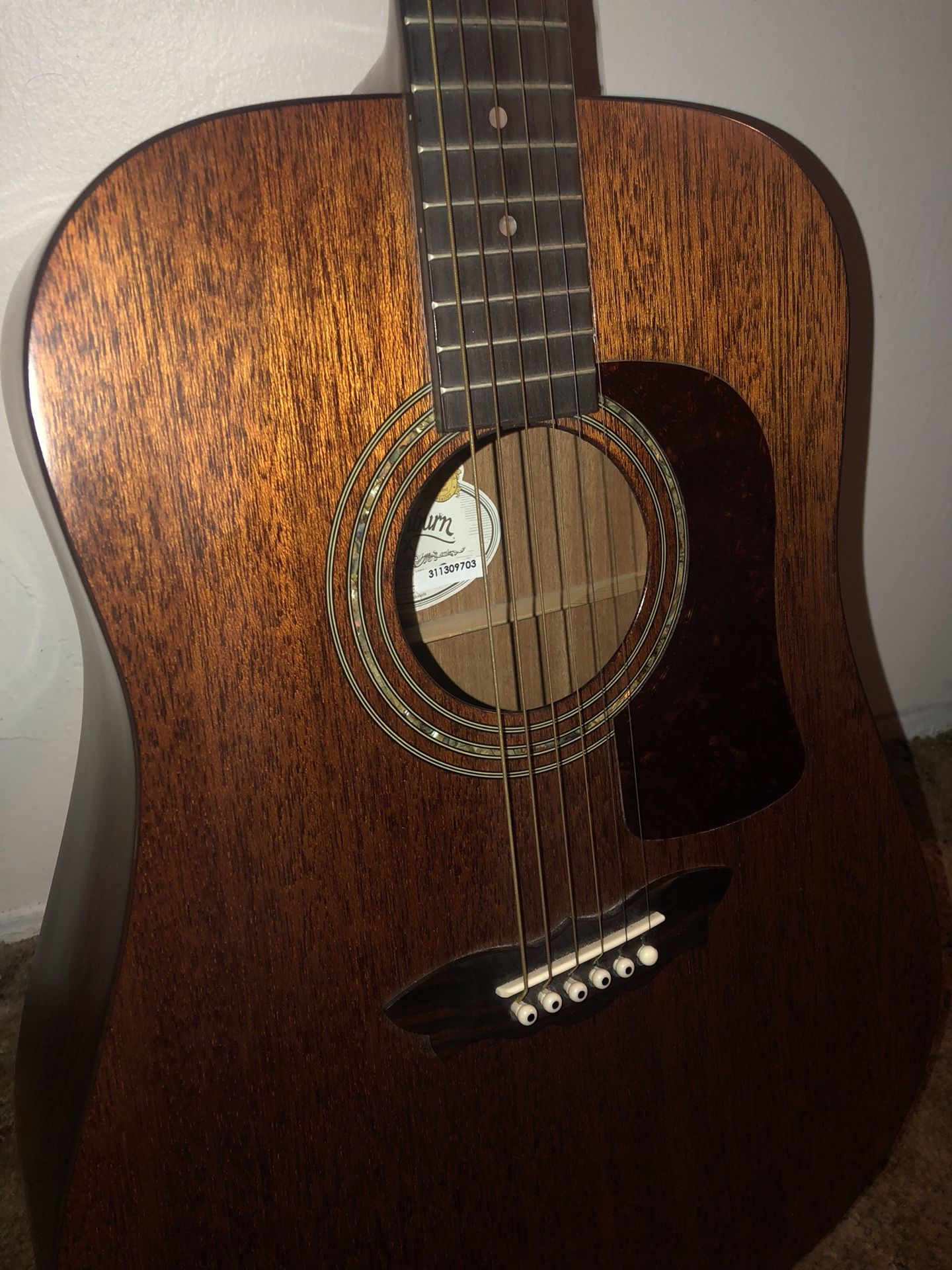 Washburn Dreadnought WD18SW