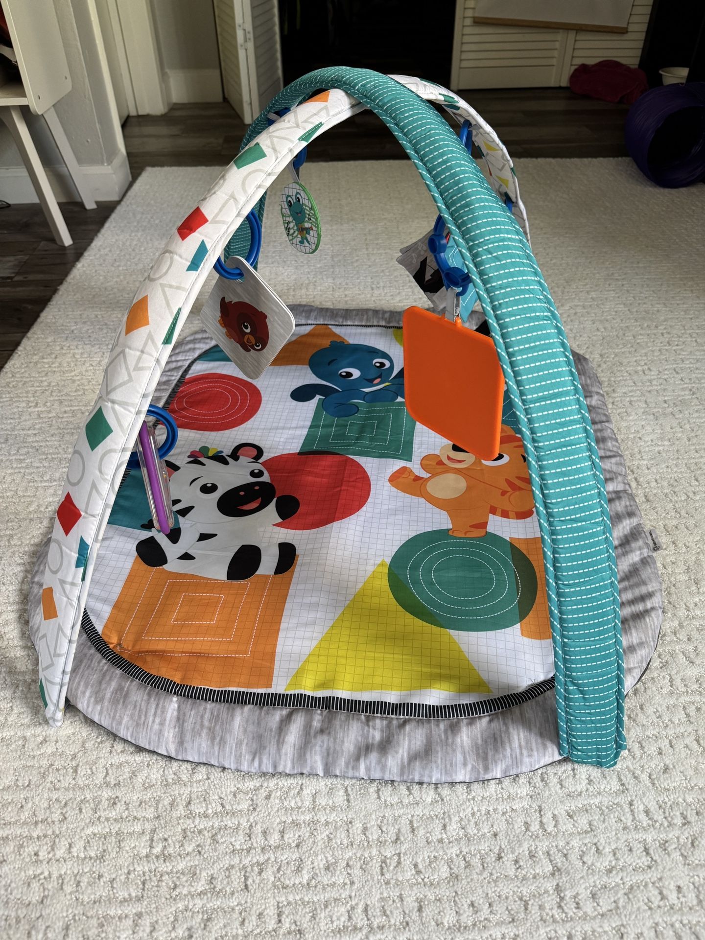 Baby Activity Mat