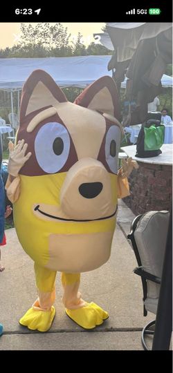 2/mascot bluey and bingo for adults costume
