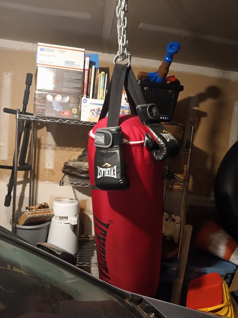 Punching Bag And Gloves