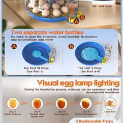 Incubators 18 Eggs $$40