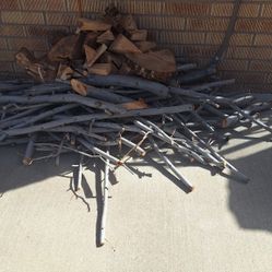 Free PECAN TREE WOOD ! 