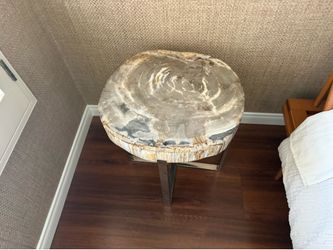 High end petrified side table original price 6500