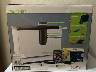Glofish Tank