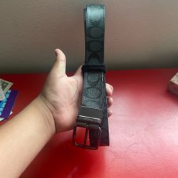 Coach Belt