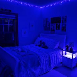 Led Strip Lights 200ft (2x100ft)