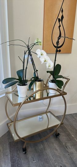 Bar Cart  W Wheels