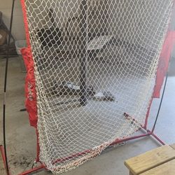 Baseball Net