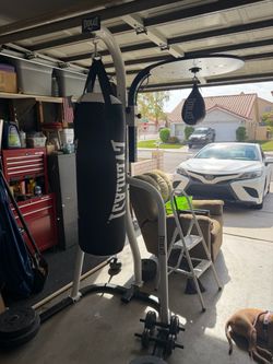 Everlast Heavy Bag and Speed Bag Stand