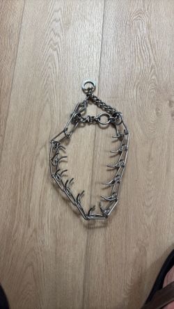 Spiked large dog training collar