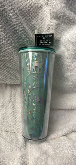 Starbucks Cup