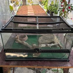 Lizard Tank