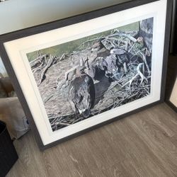 bruce lattig original prints 