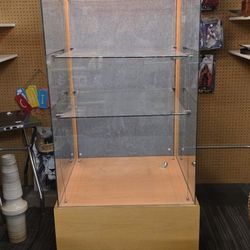 Lighted glass case with shelves
