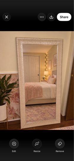 LARGE body mirror