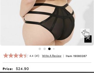 Torrid Pantys