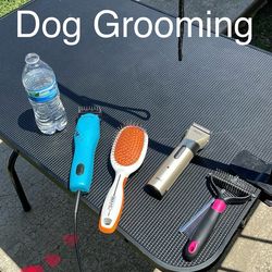 Dog grooming clippers