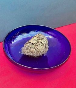 Rose of Jericho, resurrection plant