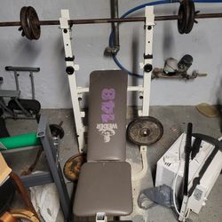 Exercise Equipment Bench and Weights Plus Curl Bar