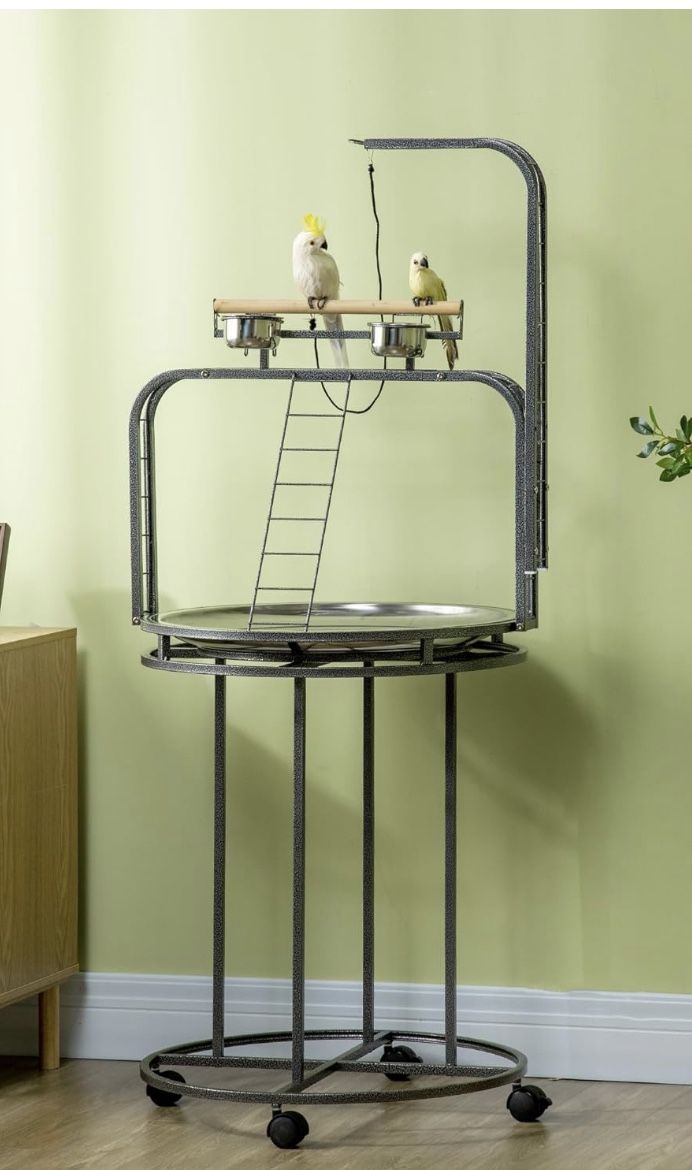 Bird Perch And Stand