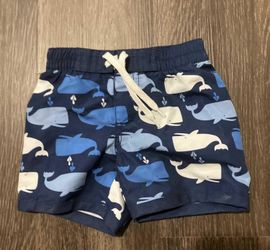 Swim Trunks 