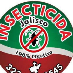 Cucarachas/roaches/insects