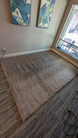 Beige Shag Area Rug 7x10