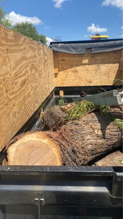 Firewood