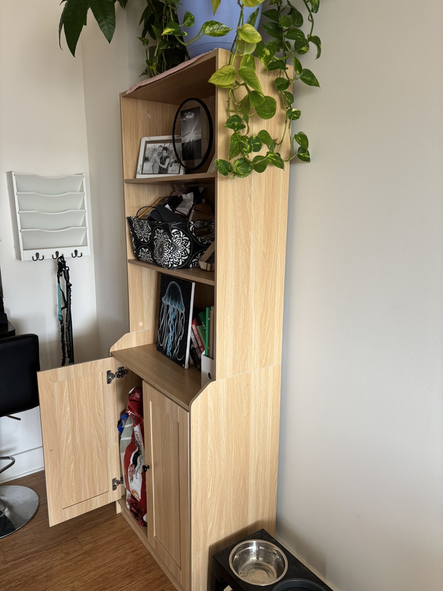 Cabinet / Book Shelf