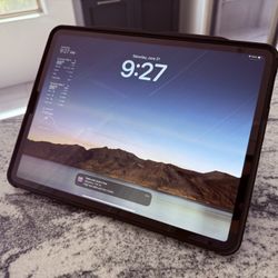 iPad Pro 12.9 inch 4th Generation 128GB Cellular + WiFi Space Grey with Zugu Case