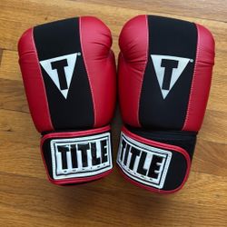 Used Youth Medium Title Boxing Gloves 
