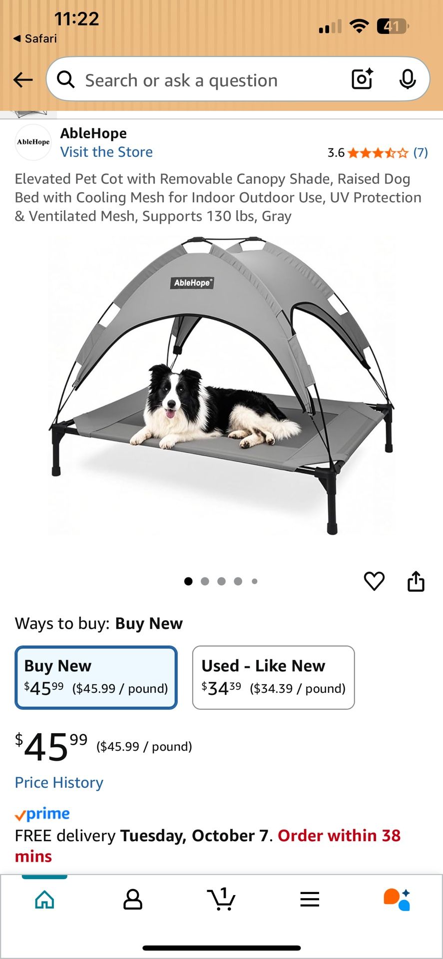 Dog Bed Raised