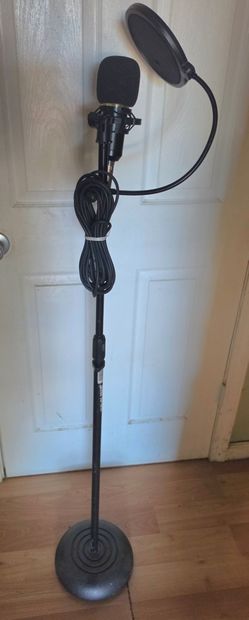 Microphone with microphone stands