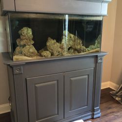 120 salt water aquarium