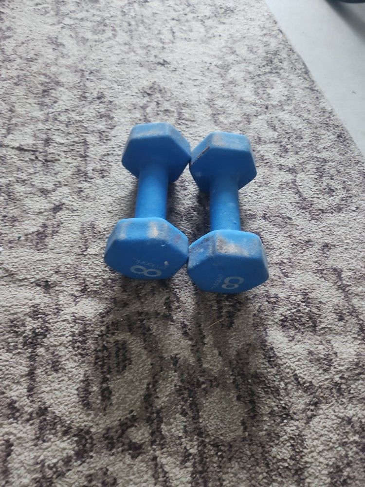 8 Lb Dumb Bell Weights