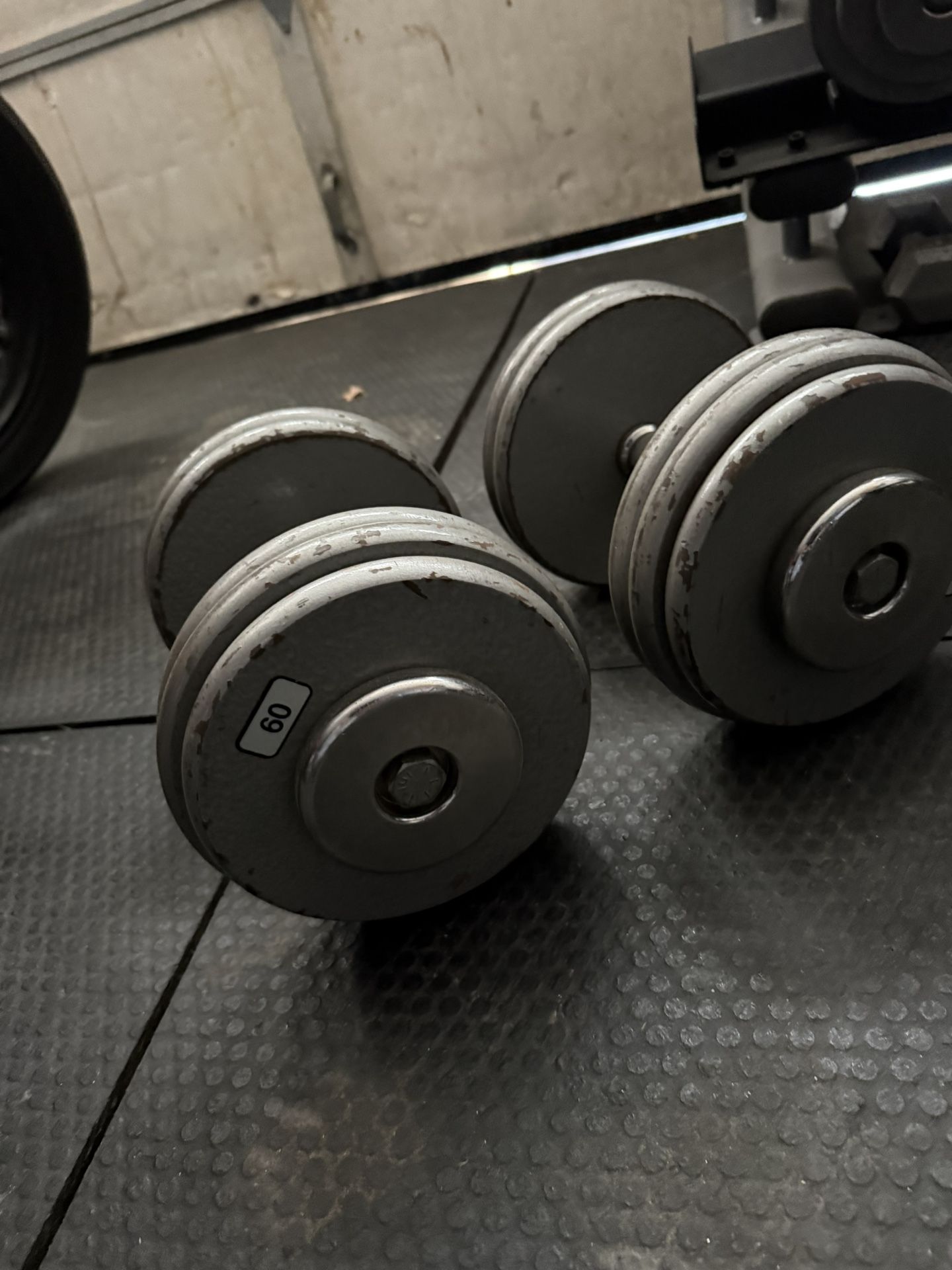 60 Ib Dumbbells