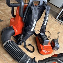 Echo Backpack Leaf Blower