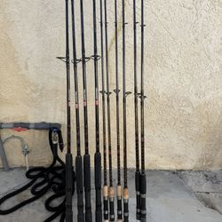 fishing rod