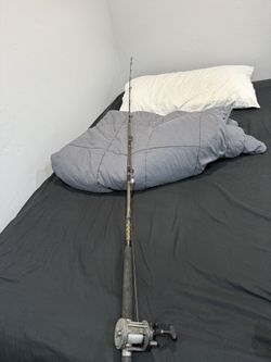 Penn Rod With A Tld 15 