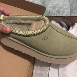 Brand New Uggs W Tazz II