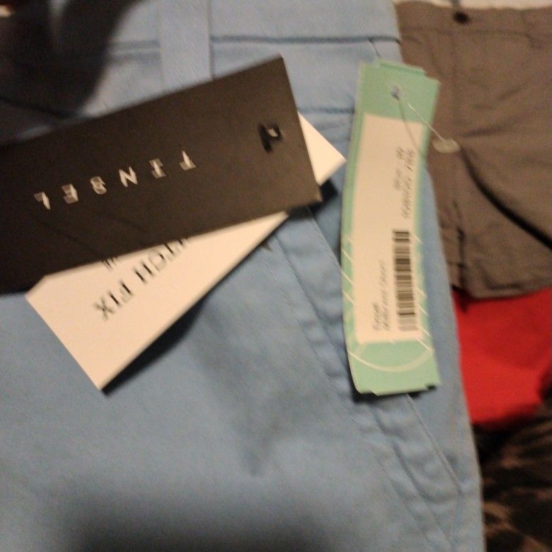 Tinsel Baby Blue Stitch Fix Shorts Brand New With Tags Size 30