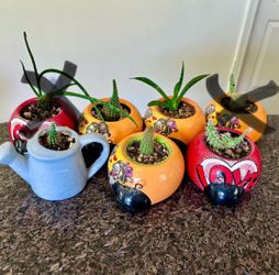 Drought resistant plants