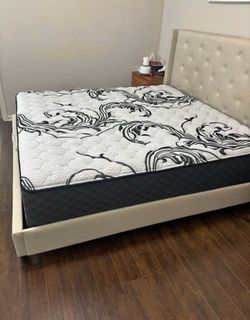 Brand New Mattresses Available!