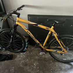 Specialized Bike 