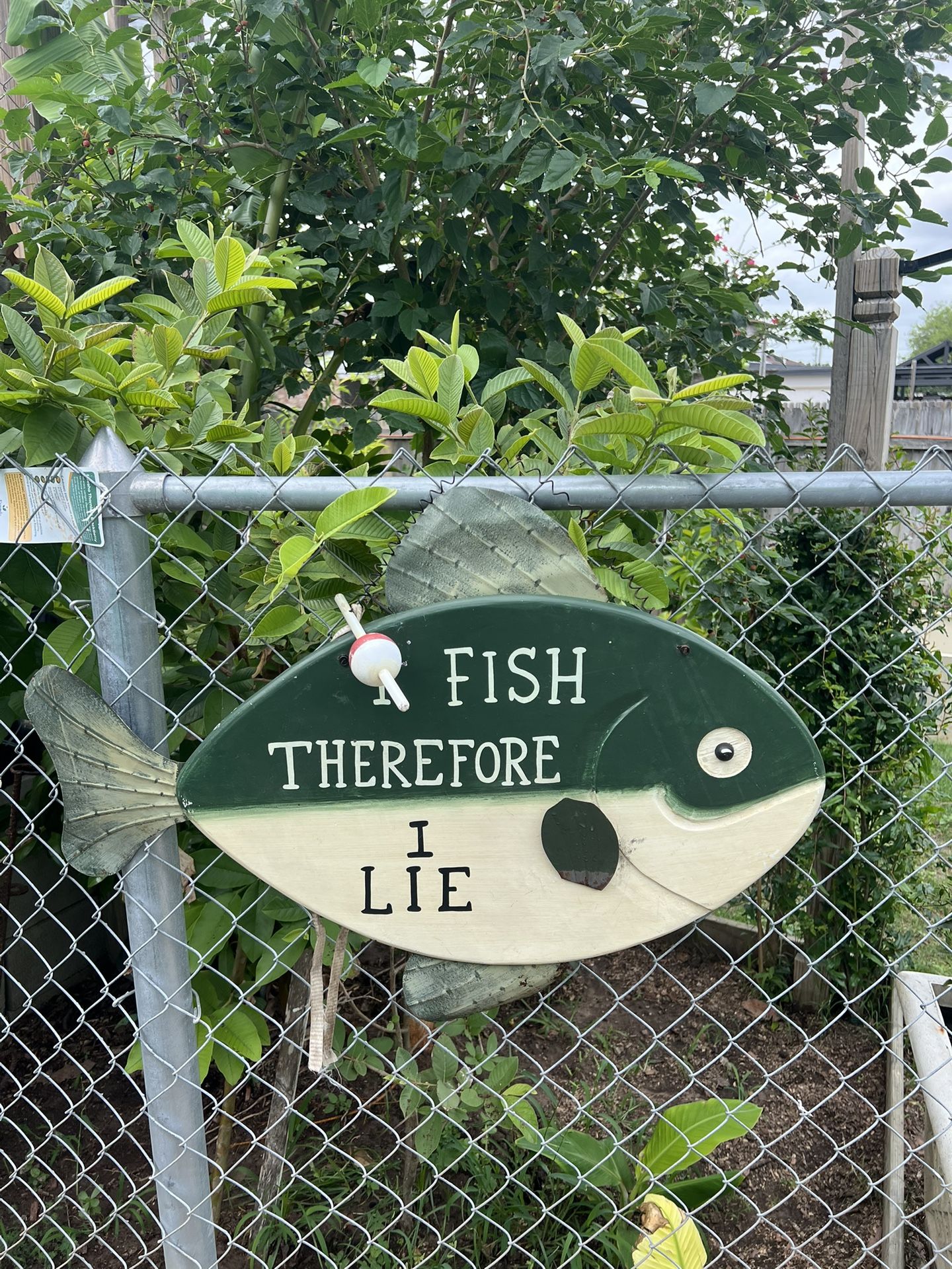 Hanging fish
