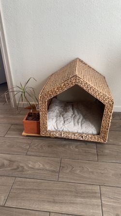 dog boho house