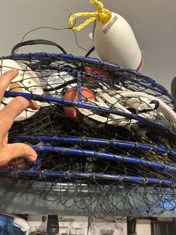 Promar lobster hoops