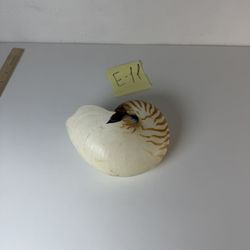 Nautilus Shell Candle Decorative Coastal Decor E-11