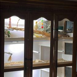 Bird Inclosure Bird Cage