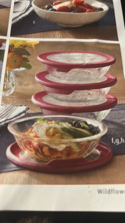 Set de cuatro platos hondos con tapa nuevos de Princess house